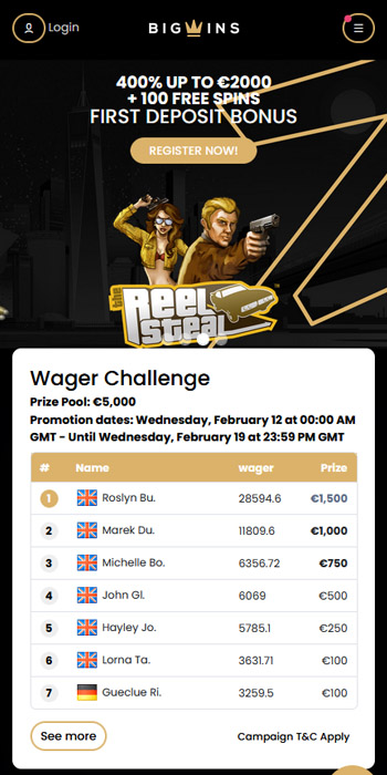BigWins Casino: Gamer Scores & Our Decision